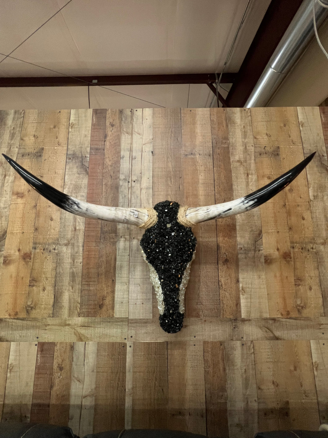 Jeweled Cow Skull (Black w/ White sides)