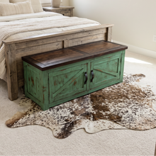 Load image into Gallery viewer, Turquoise Shoe Cabinet