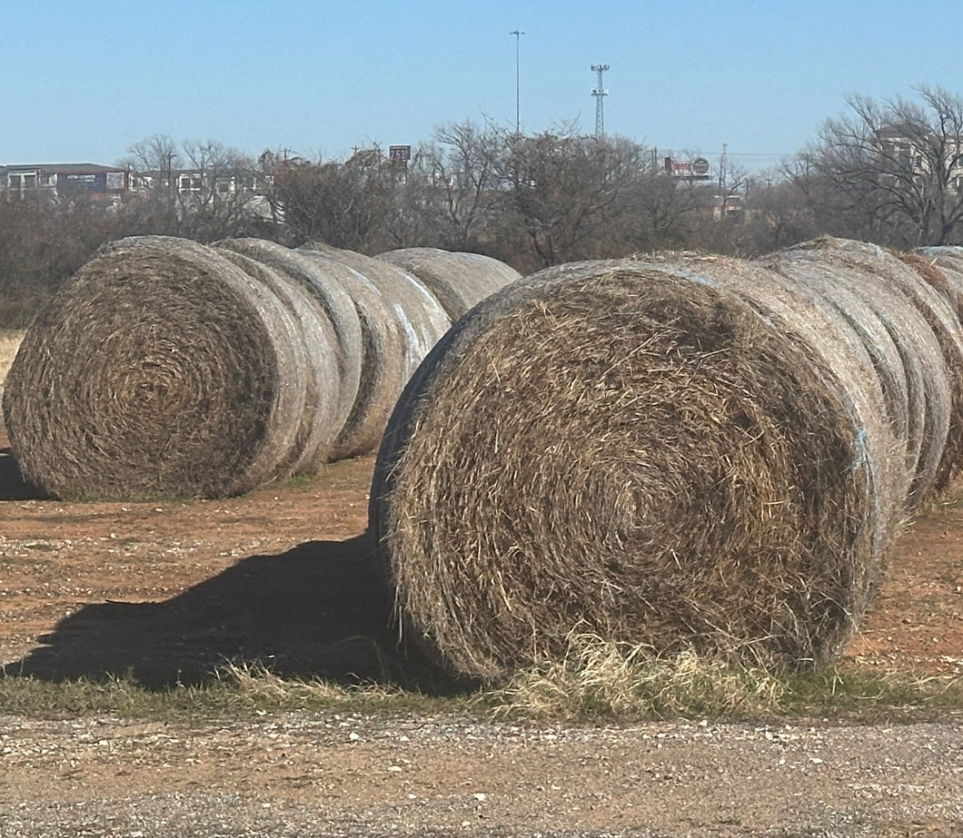 Cow Hay - $45