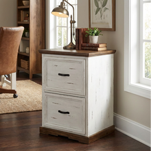 Load image into Gallery viewer, Branson 2 Drawer Filing Cabinet
